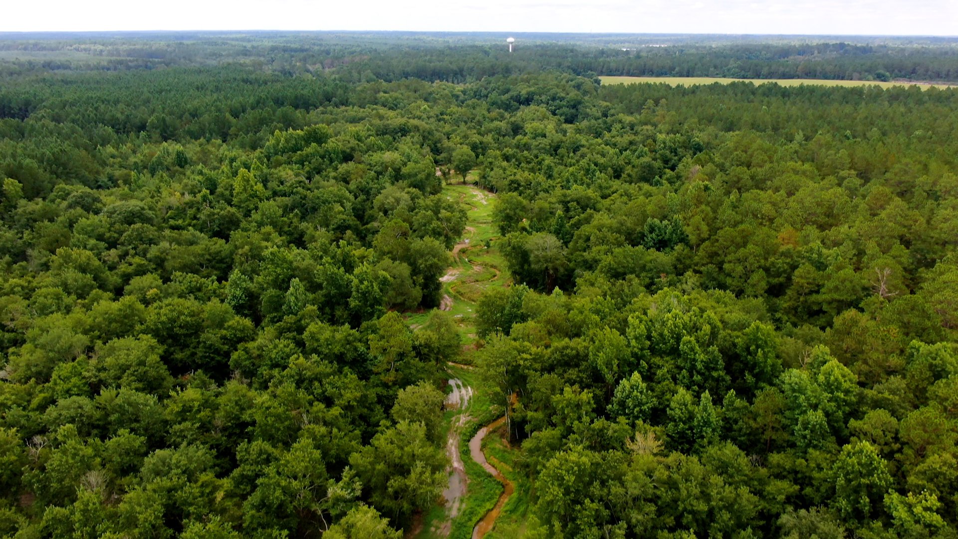 2024_WetlandMitigationBank_Still_29